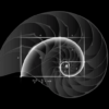 Fibonacci--100x100